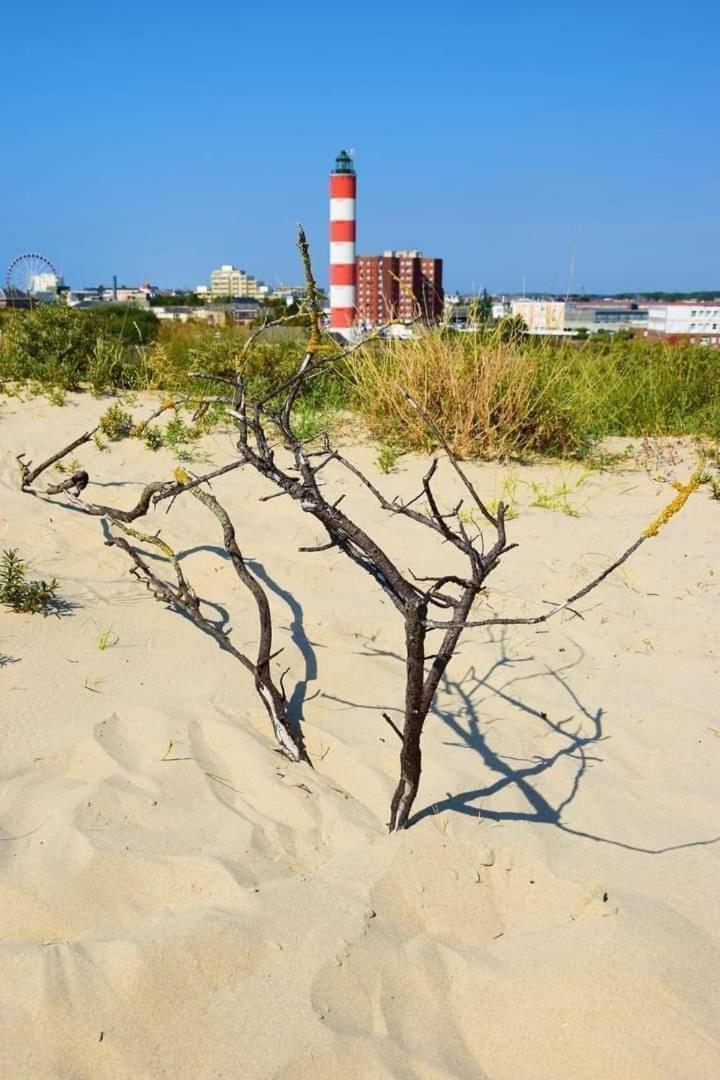 L'Alteia - L'Appartement Les Pieds Dans L'Eau Avec Place De Parking Prive Et Acces Direct A La Plage Berck Екстер'єр фото